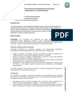 Microbiologia - Informe 3-COLORACIONE