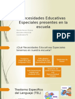 Necesidades Educativas Especiales Presentes en La Escuela