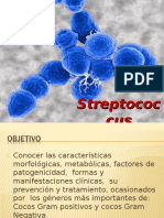 Genero Streptococcus