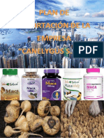 Plan de Negocio Esportacion de Capsulas de Maca