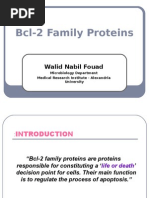 Bcl-2 Family Proteins