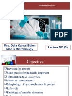 Life Cycle and Infection Mode From Entamoeba Histolytica