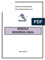 Deficiência Visual PDF