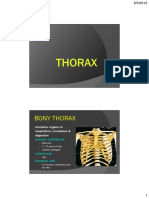 Thoraxic Wall 