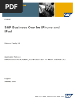 SAP B1 MobileApp Guide