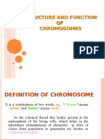 Structure and Function of Chromosomes