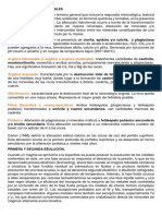 Alteraciones Hidrotermales PDF