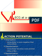 ECG at A Glance