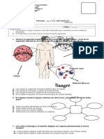 Prueba Cs. Naturales Respuesta