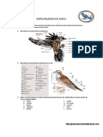 Aves - Especialidad Desarrollada