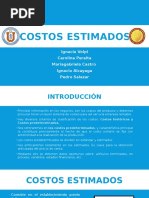 Costos Estimados