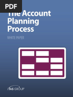 The Account Planning Process