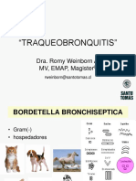 1 Traqueobronquitis 2011