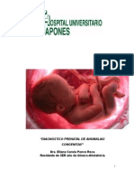 Diagnostico Prenatal de Malformaciones Fetales