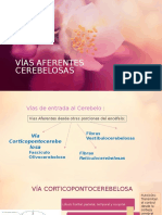 Vías Aferentes Cerebelosas y Eferentes