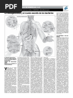 16 Jun 13 Metagenomica