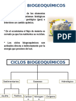 Ciclos Biogeoquímicos