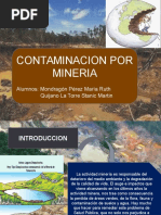 Contaminacion Por Mineria