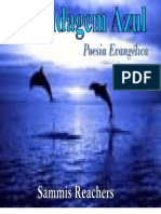 A Blindagem Azul Poesia Evangélica