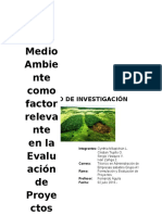 Trabajo de Investigación Medio Ambiente