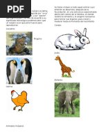 Animales Ovíparos