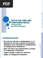 Ciclo de Vida Del Contribuyente (C 1)