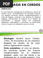 Ascariosis en Cerdos