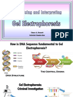 Gel Electrophoresis