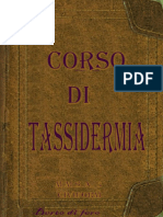 Corso Di Tassidermia