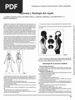 Fisiología Columna