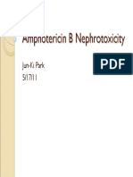 Amphotericin B Nephrotoxicity