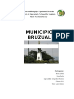 Informe de Cultura Mcpo Bruzual