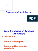 Summary of Metabolism