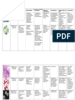 Bacterias Gram + y