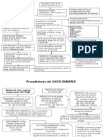 Resumen Esquemas Procesal Civil