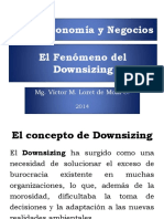 19 - Downsizing PDF