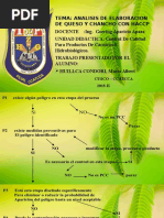 Haccp de Queso y Chancho