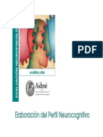 Elaboracion Del Perfil Neurocognitivo