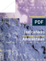 Indicadores Cal y Gest Ambientales Gross Hajek PDF