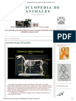 Enciclopedia de Animales - Anatomia Del Gato