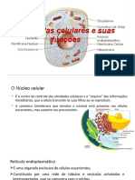 Organelas Celulares e Suas Funcoes