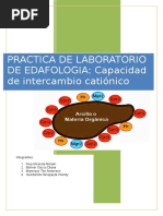 Capacidad de Intercambio Cationico Edafologia