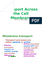 Transport Across The Cell Membrane