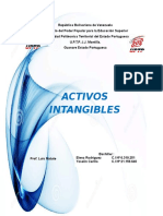 Activos Intangibles