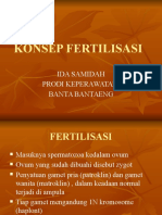 Konsep Fertilisasi