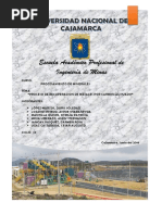 Informe Carbon Activado PDF