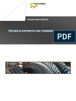 Programa Formativo Experto Turbinas de Gas PDF