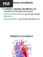 Sistema Circulatorio