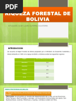 Riqueza Forestal de Bolivia