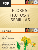  Flores, Frutos, Semillas